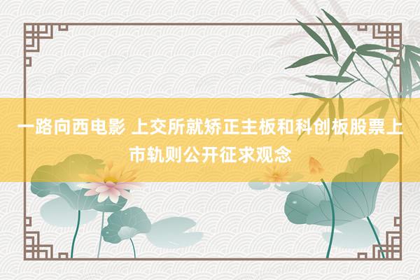 一路向西电影 上交所就矫正主板和科创板股票上市轨则公开征求观念