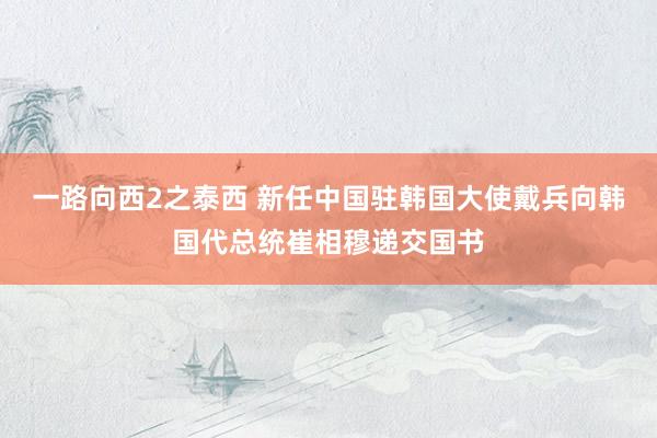 一路向西2之泰西 新任中国驻韩国大使戴兵向韩国代总统崔相穆递交国书