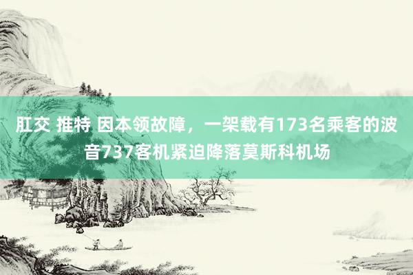 肛交 推特 因本领故障，一架载有173名乘客的波音737客机紧迫降落莫斯科机场