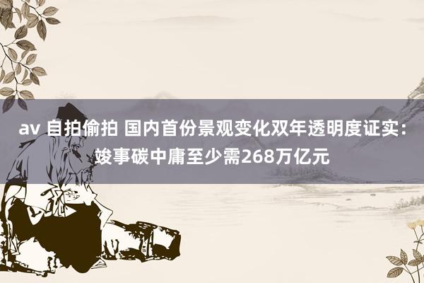 av 自拍偷拍 国内首份景观变化双年透明度证实：竣事碳中庸至少需268万亿元