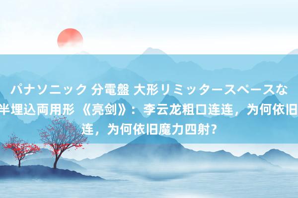 パナソニック 分電盤 大形リミッタースペースなし 露出・半埋込両用形 《亮剑》：李云龙粗口连连，为何依旧魔力四射？