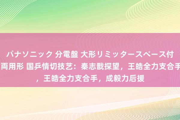 パナソニック 分電盤 大形リミッタースペース付 露出・半埋込両用形 国乒情切技艺：秦志戬探望，王皓全力支合手，成毅力后援